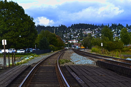 brown train track between green leafed trees thumbnail