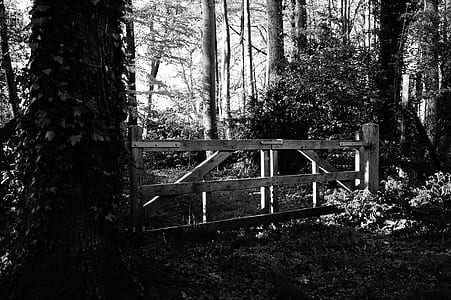 wood, light, black-and-white, road thumbnail