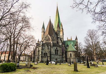 cathedral surrounded of trees and plants thumbnail
