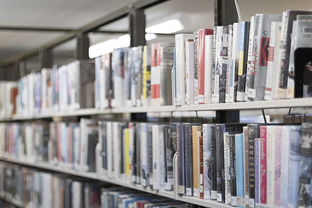 Shallow Focus Photography Of Books On Bookshelves thumbnail