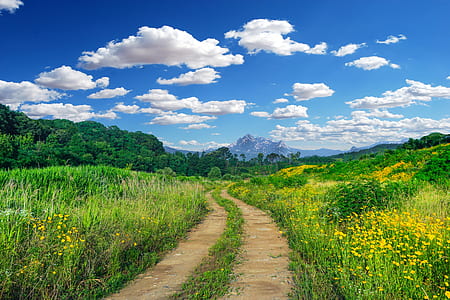 ball hill springs trail, country road, country, sky thumbnail