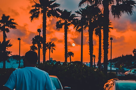 Man Standing in Front of Vehicle during Golden Hour thumbnail