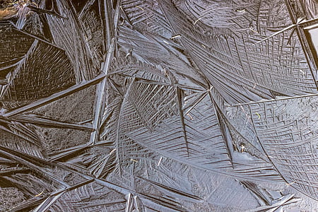 close up photo of brown pack thumbnail