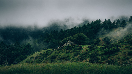 mount covered with misty photography thumbnail