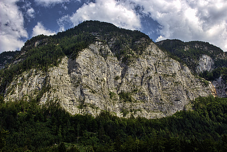 trees on mountain at daytime thumbnail