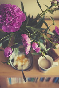 selective focus photography of pink petaled flower thumbnail