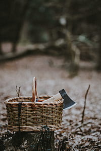 gray hatchet axe in picnic basket thumbnail