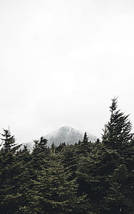 fog covered mountain thumbnail
