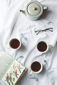 Bird Book And Tea Time Photo thumbnail