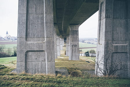 green grass beside gray concrete wall thumbnail