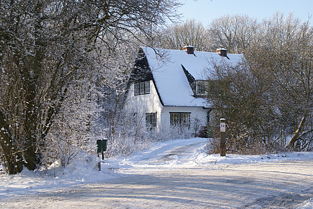 snow covered house surrounded by bare trees at daytime thumbnail
