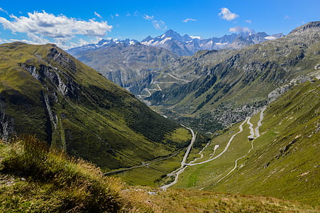 mountain cover with trees thumbnail