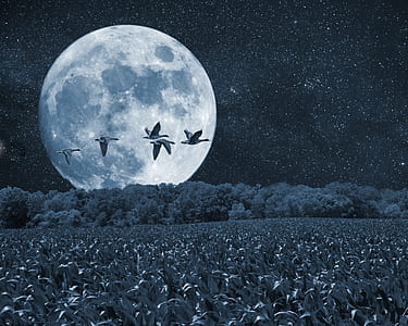 grayscale photography of mountain during night thumbnail