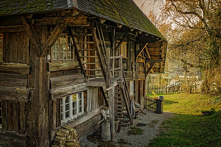 Brown Wooden House Near on Tree thumbnail