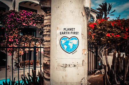 planet earth first poster on concrete post thumbnail