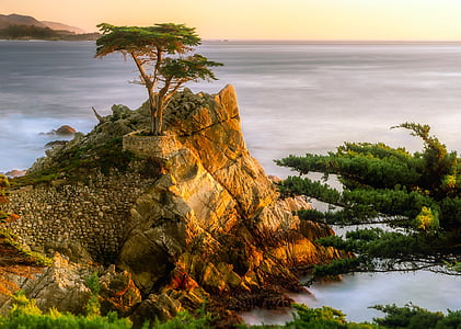 rock formation with trees near body of water during daytime thumbnail