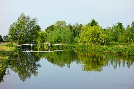landscape photo of body of water with trees under blue sky thumbnail