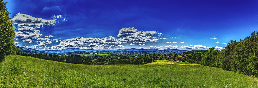 green grass field surrounded with trees under blue sky during daytime thumbnail