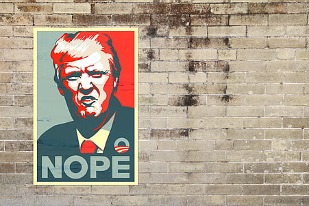 Donald Trump poster thumbnail