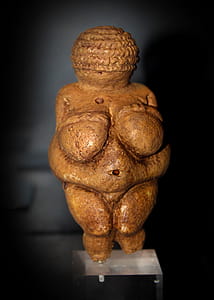 Venus of Willendorf - European Upper Paleolithic Art thumbnail