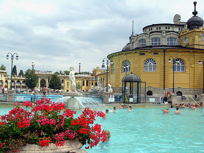 people swimming on pool at daytime thumbnail