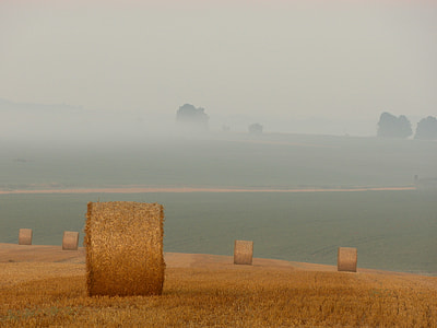hayrolls on grassland thumbnail