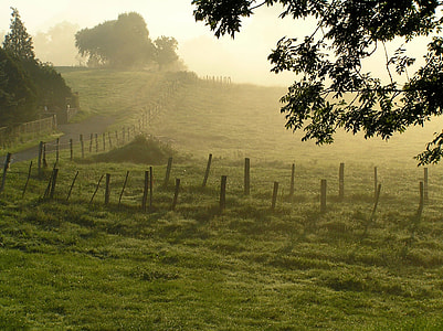foggy field of farm thumbnail
