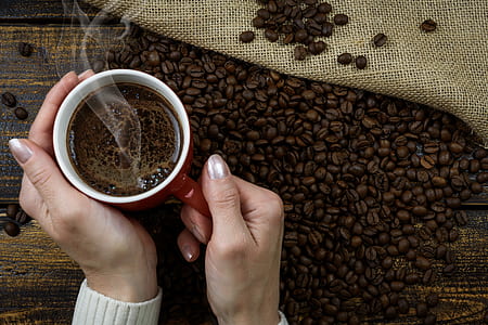 person holding mug of coffee near on coffee beans thumbnail