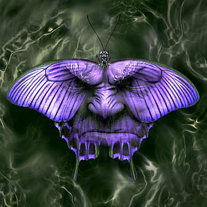 purple and black swallowtail butterfly realism illustration thumbnail