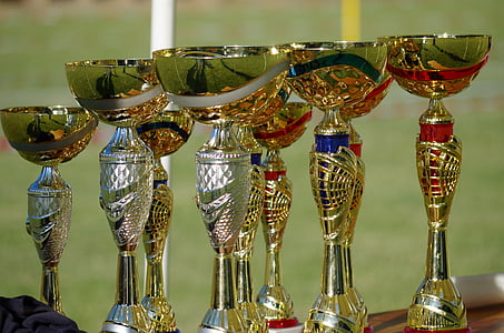 assorted-color trophys thumbnail