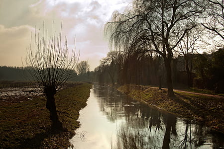river near road thumbnail