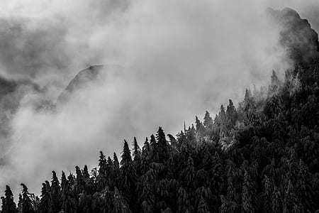 grayscale photo of clouds on mountain thumbnail