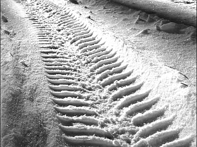 sand grayscale photo thumbnail