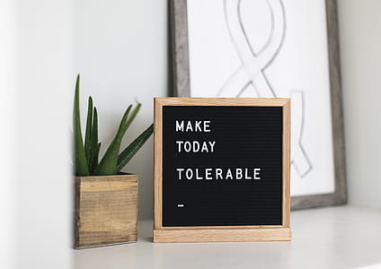 make today tolerable tabletop decor beside Aloe vera plant thumbnail