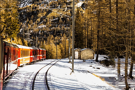 Red Train Near Trees thumbnail