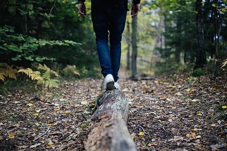 person walking in forest during daytime thumbnail
