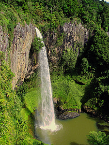 waterfalls surrounded by trees and plants at daytime thumbnail
