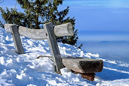 gray wooden bench near tree thumbnail