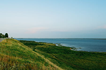 Green Grass Field Near Body of Water thumbnail