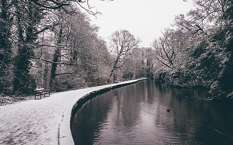 bench on pathway beside body of water surrounded with bare trees thumbnail
