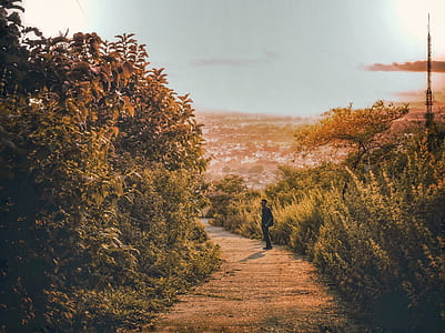 man standing on road in golden hour background thumbnail