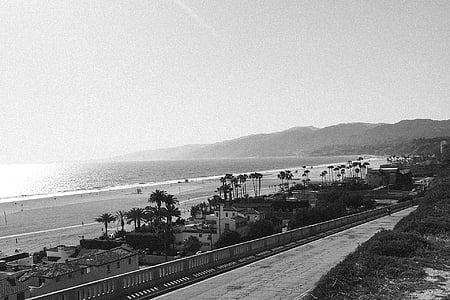 grayscale photography of beach thumbnail