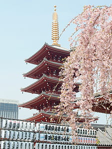red Japanese house thumbnail