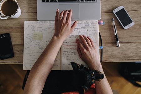 Woman working on her laptop with her dog thumbnail