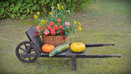 assorted flowers on woven basket thumbnail