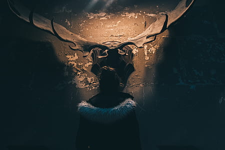 person wearing white and black jacket standing in front of moose taxidermy inside dark room thumbnail