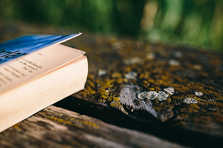 Reading book at lake thumbnail