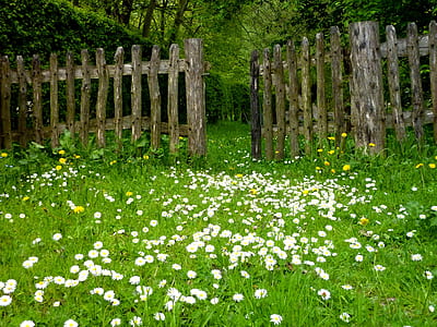opened brown wooden fence thumbnail