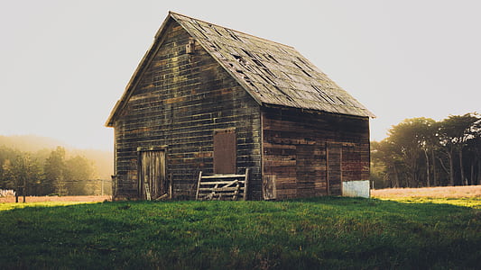 brown wooden shed thumbnail