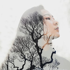 Brown Wooden Tree thumbnail